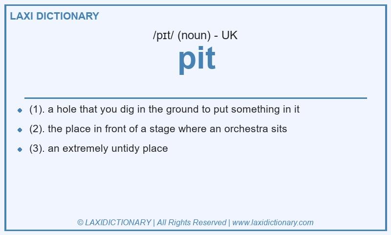 Definition pit in British English