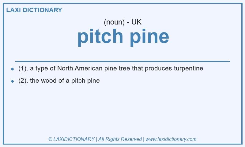 Definition pitch pine in British English