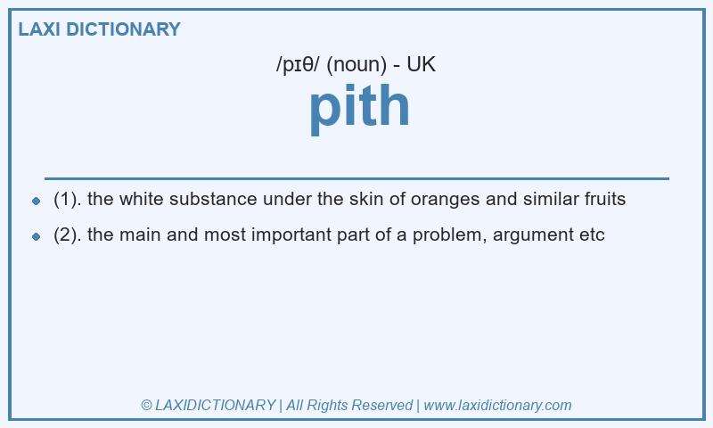 Definition pith in British English