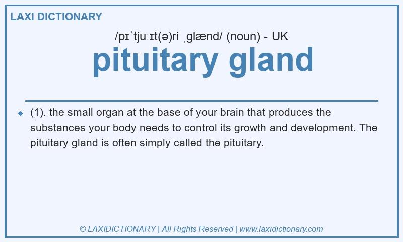 Definition pituitary gland in British English