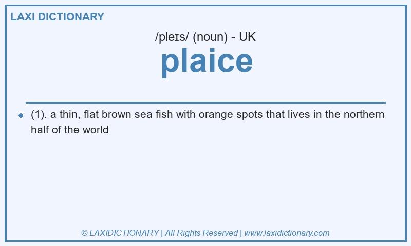 Definition plaice in British English