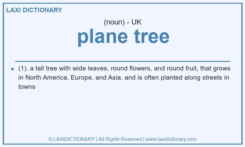 Definition plane tree in British English