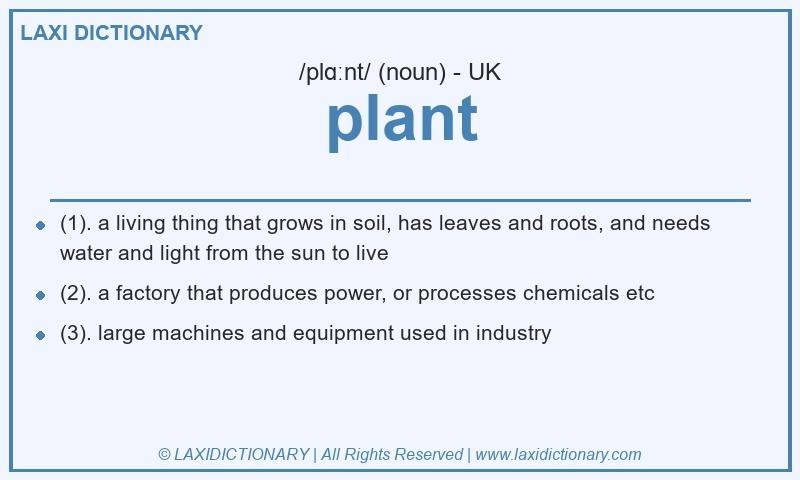 Definition plant in British English