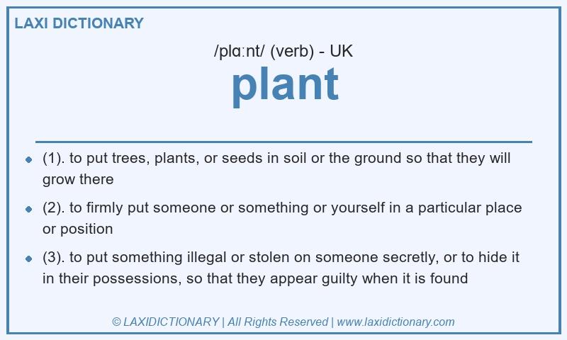 Definition plant in British English