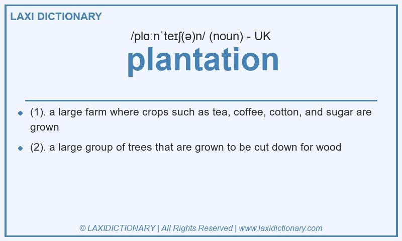 Definition plantation in British English