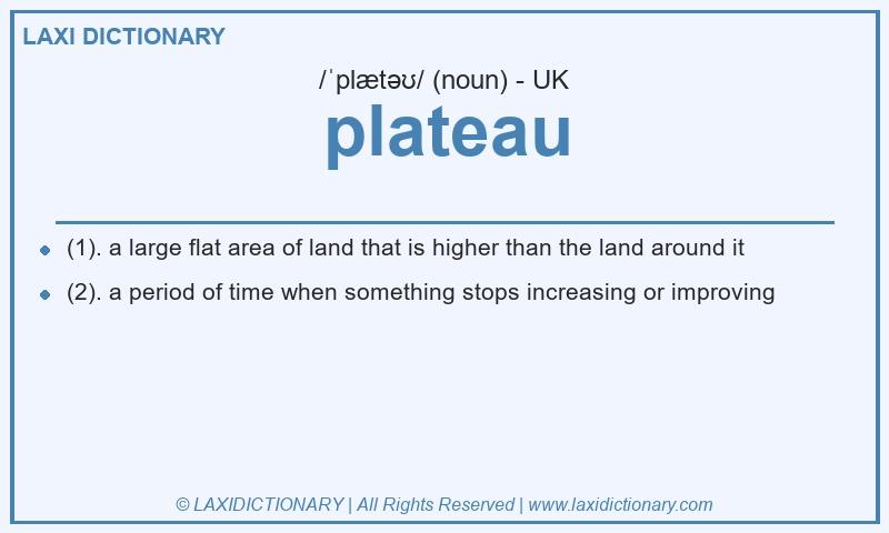 Definition plateau in British English
