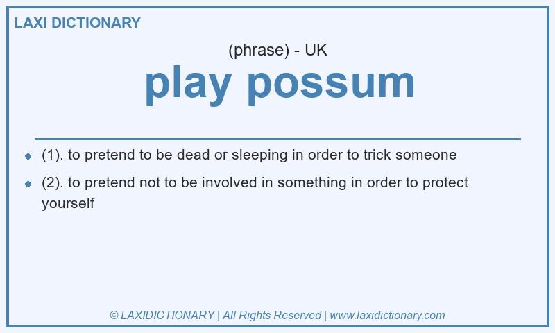 Definition play possum in British English
