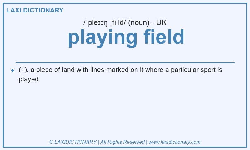 Definition playing field in British English