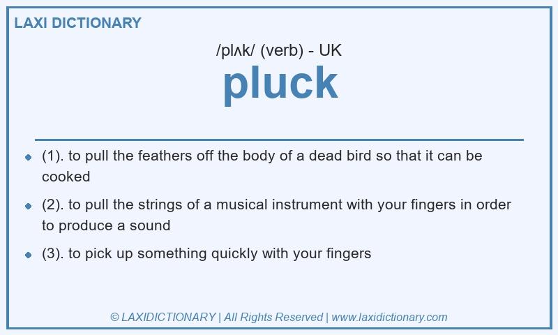 Definition pluck in British English