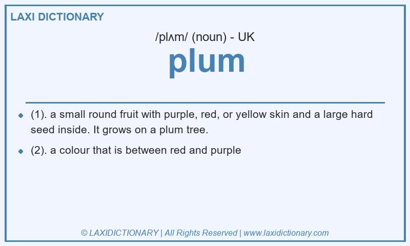 Definition plum in British English