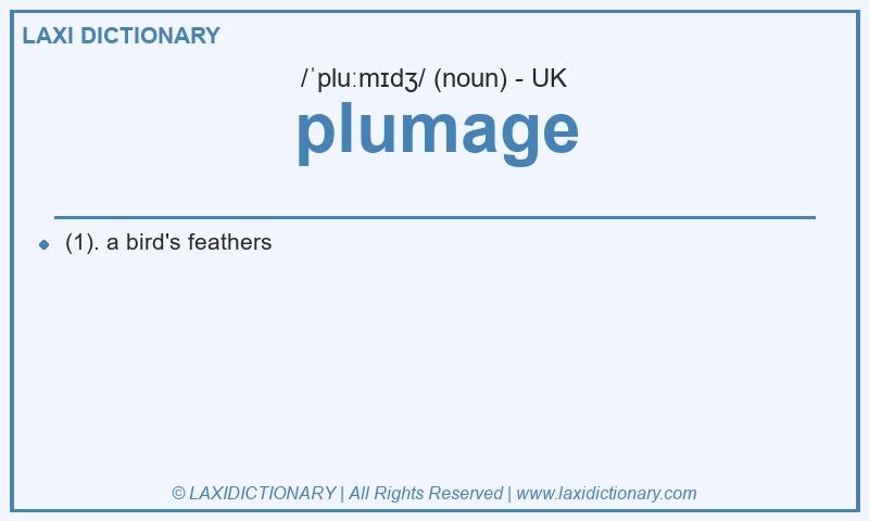 Definition plumage in British English