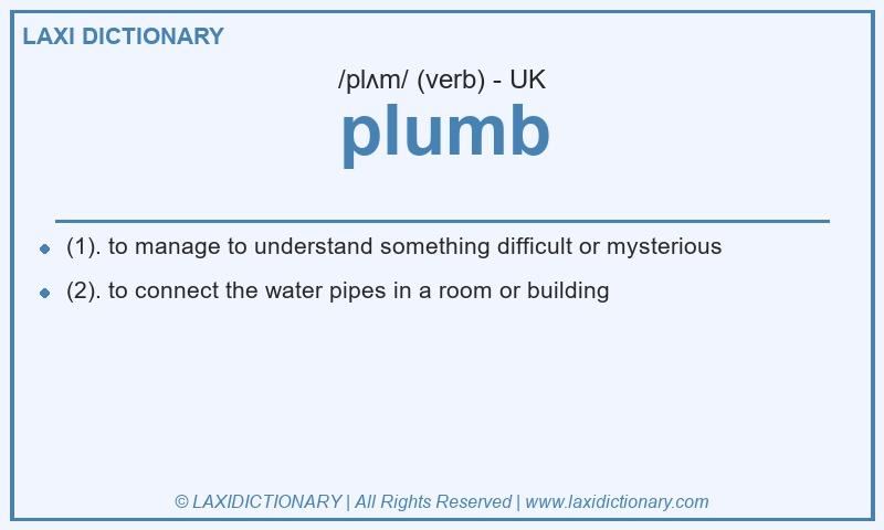 Definition plumb in British English