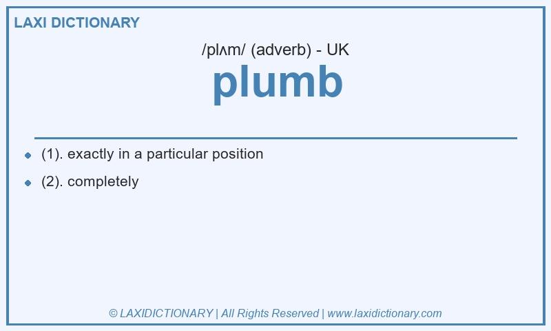 Definition plumb in British English