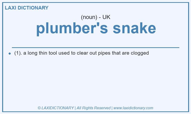 Definition plumber's snake in British English