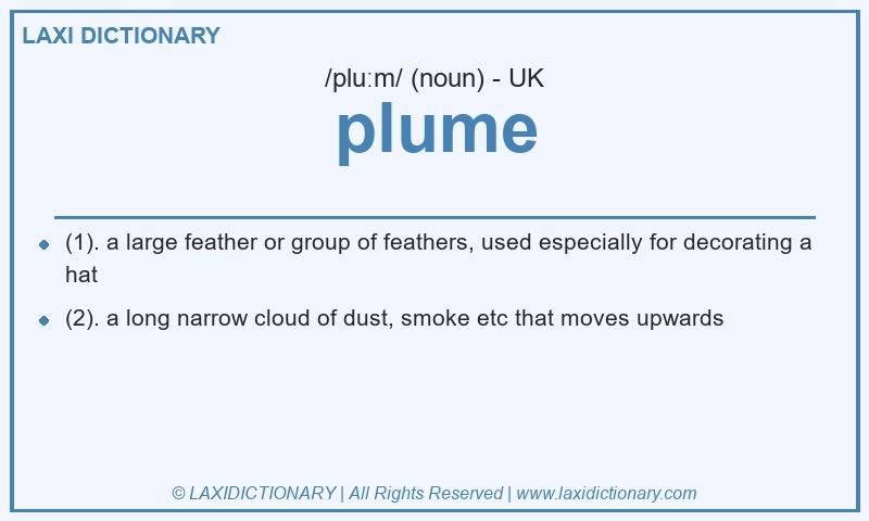 Definition plume in British English