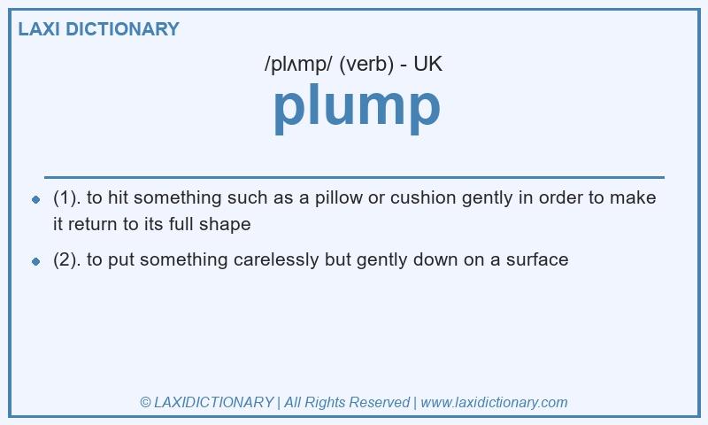 Definition plump in British English