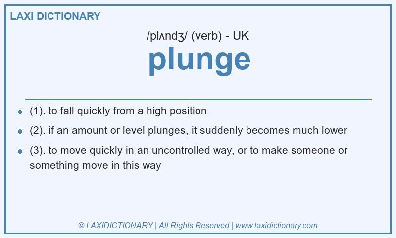 Definition plunge in British English