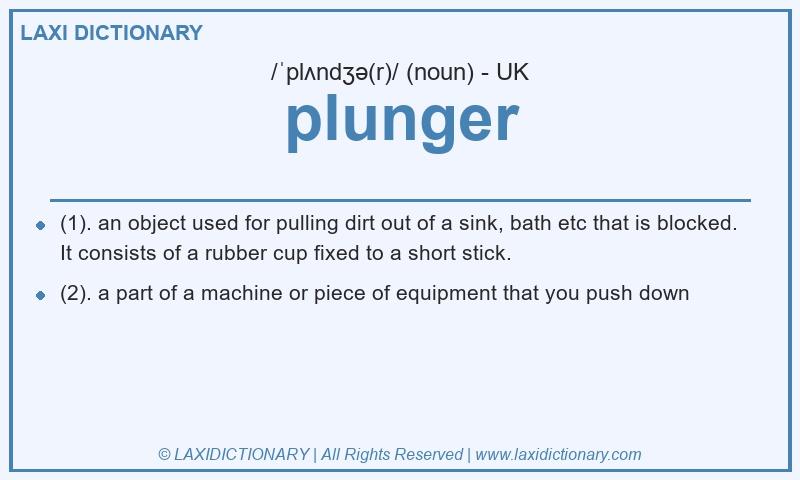 Definition plunger in British English