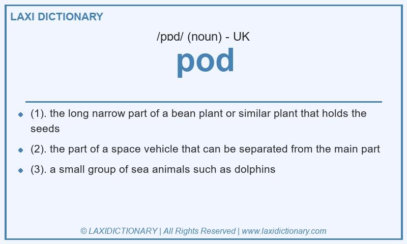 Definition pod in British English