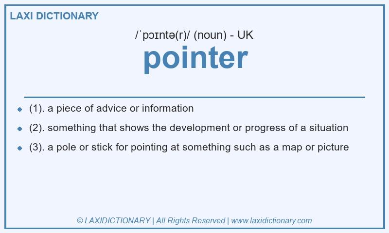 Definition pointer in British English