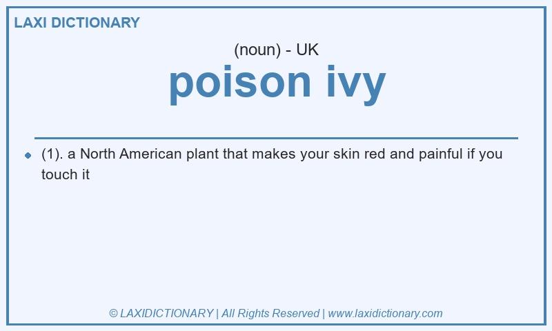 Definition poison ivy in British English
