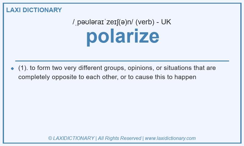 Definition polarize in British English