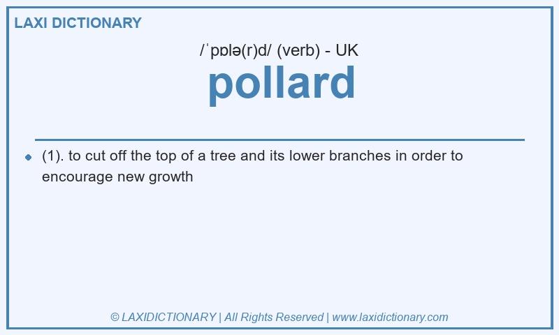 Definition pollard in British English