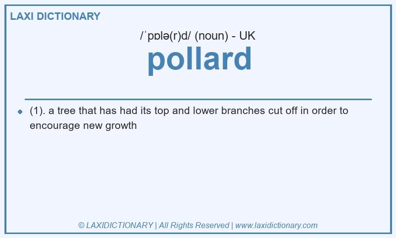 Definition pollard in British English
