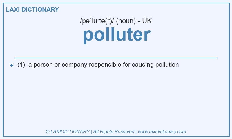Definition polluter in British English