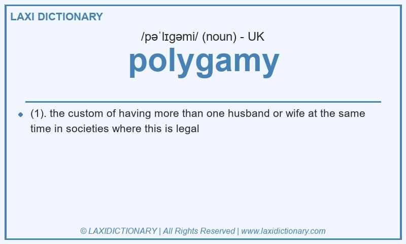 Definition polygamy in British English