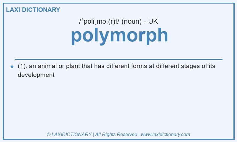 Definition polymorph in British English