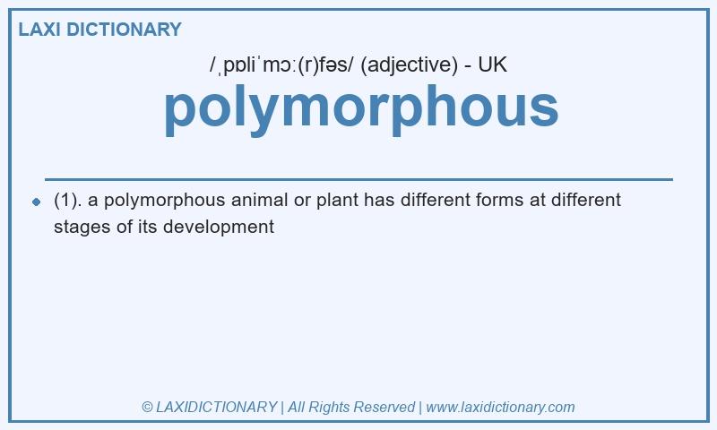 Definition polymorphous in British English