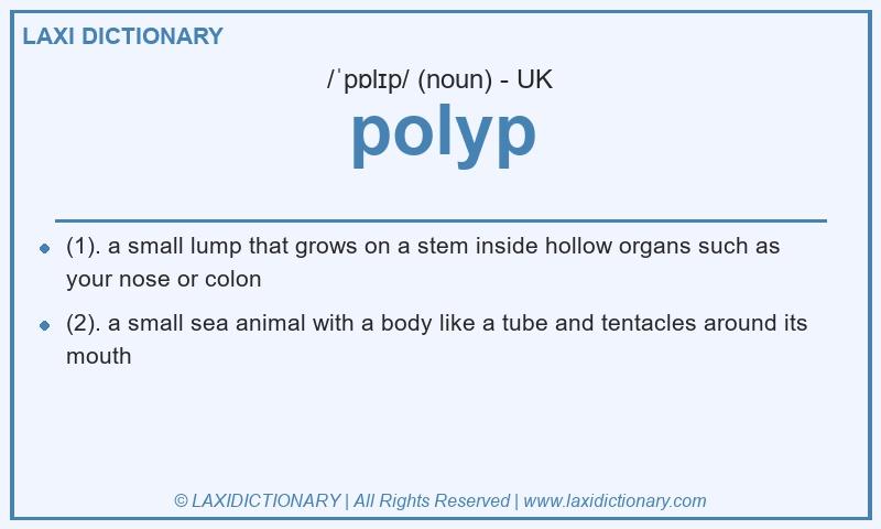 Definition polyp in British English