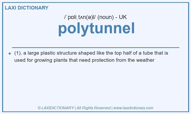 Definition polytunnel in British English