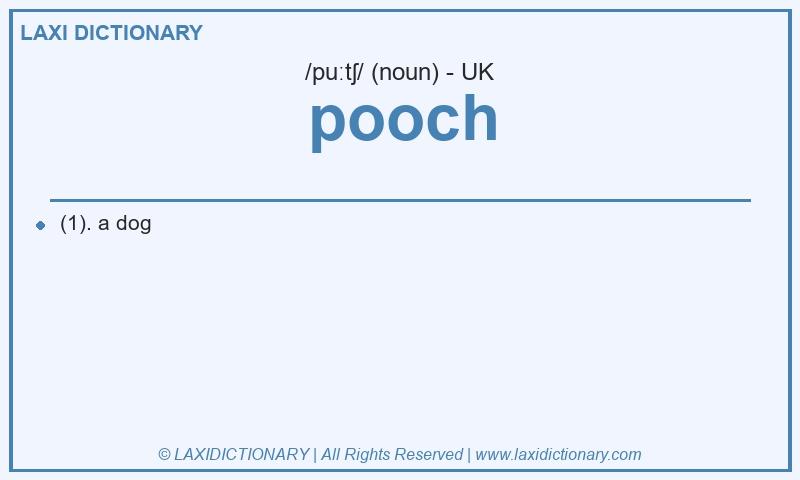 Definition pooch in British English