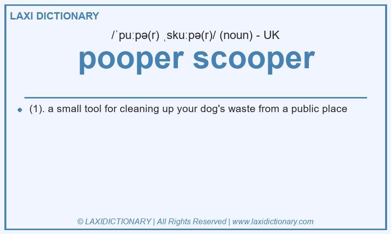 Definition pooper scooper in British English