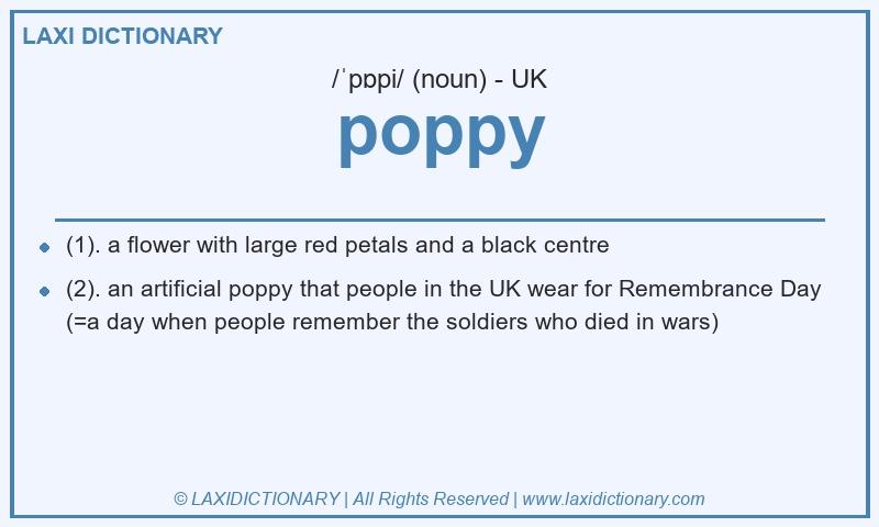 Definition poppy in British English