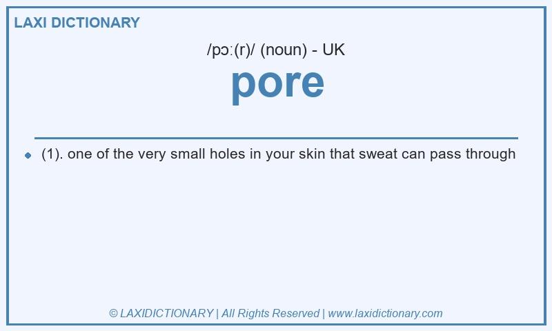 Definition pore in British English