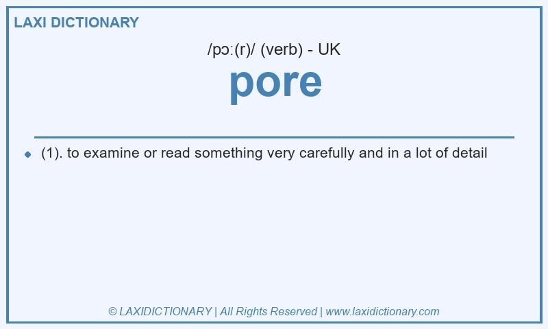 Definition pore in British English