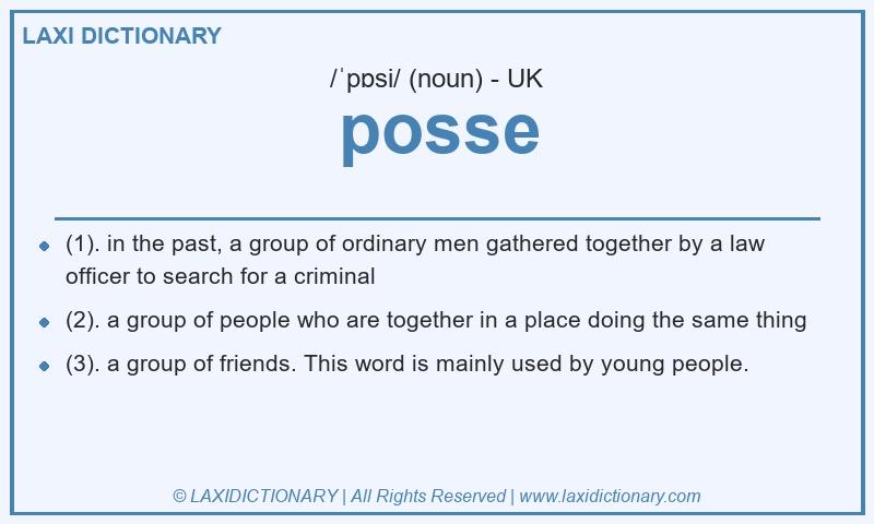 Definition posse in British English
