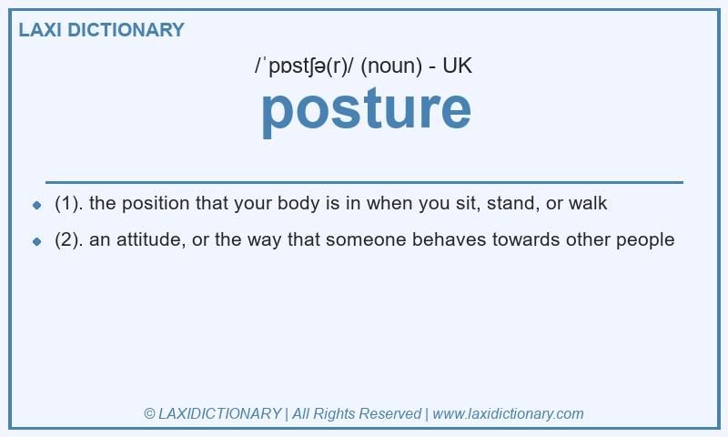 Definition posture in British English