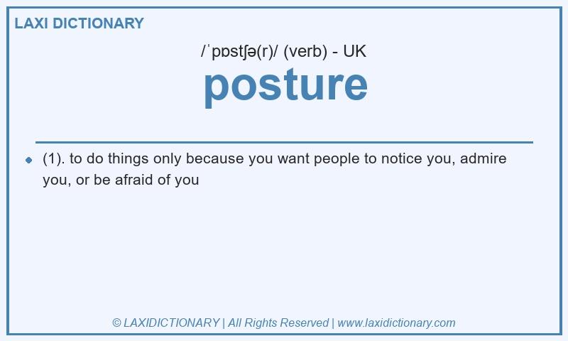Definition posture in British English