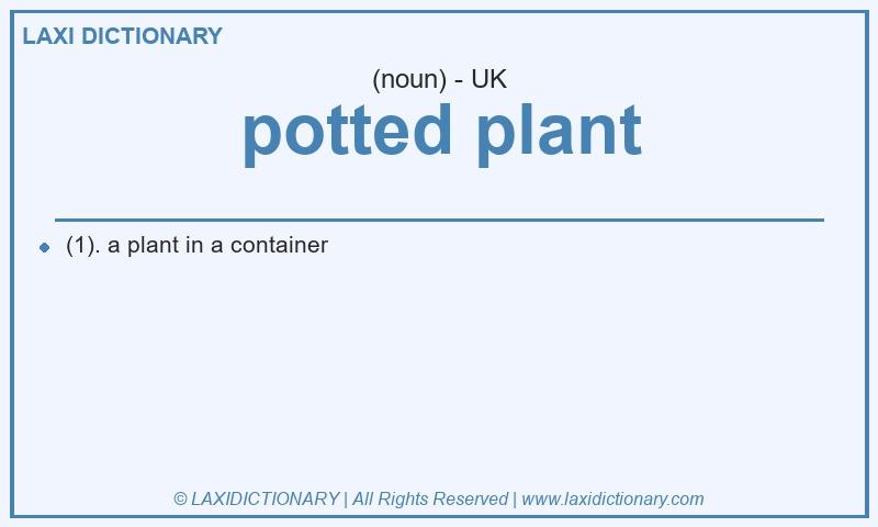 Definition potted plant in British English
