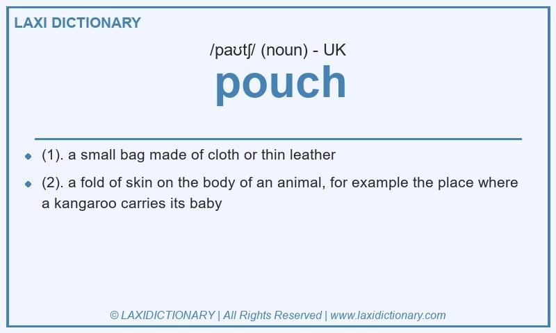 Definition pouch in British English