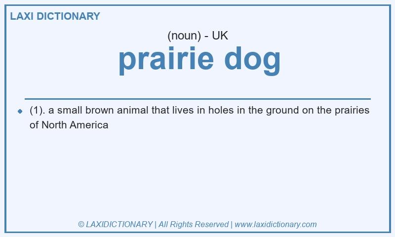Definition prairie dog in British English