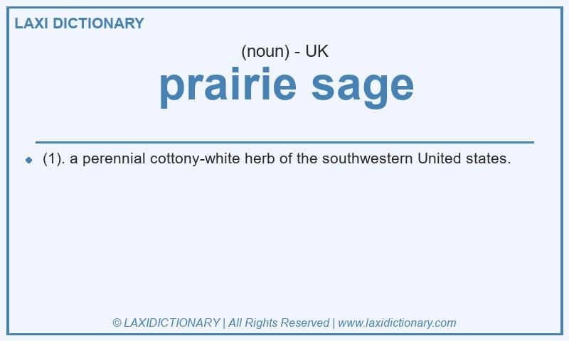 Definition prairie sage in British English
