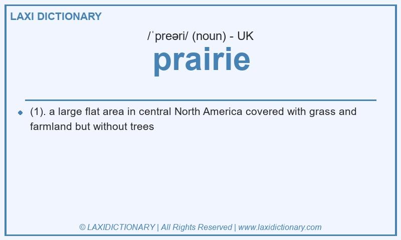 Definition prairie in British English