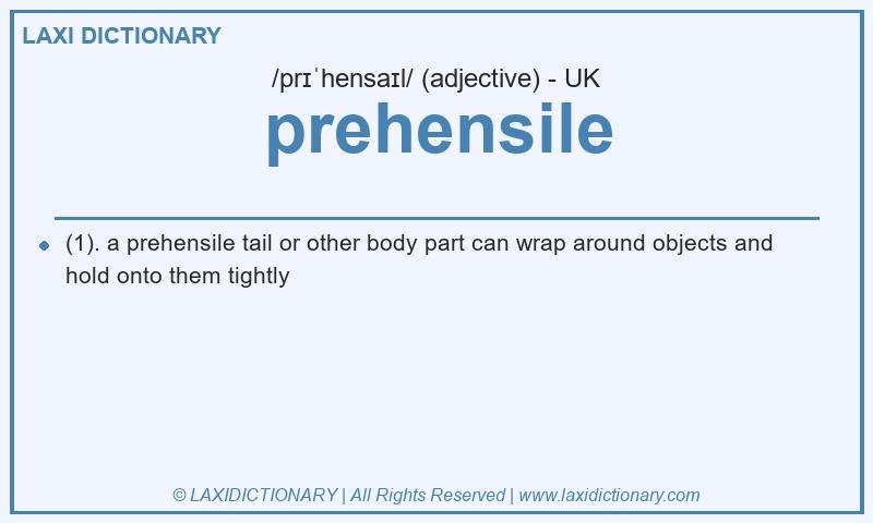 Definition prehensile in British English