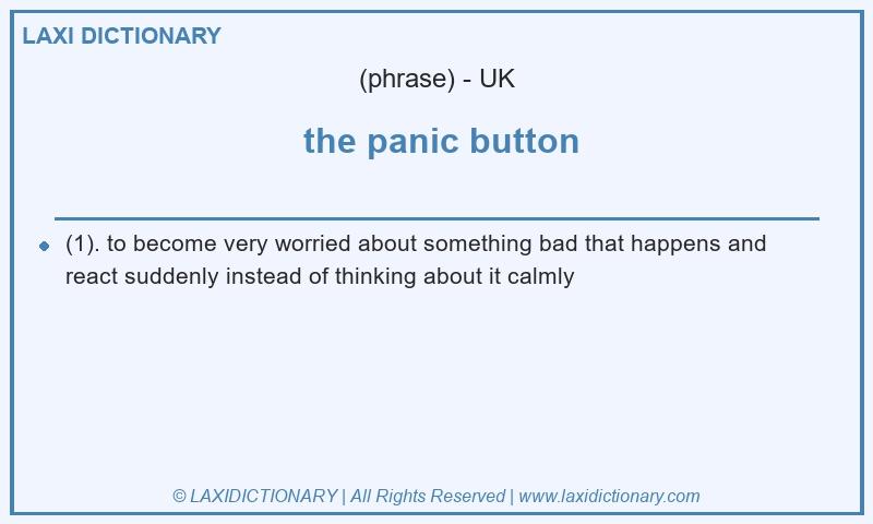 Definition  the panic button in British English