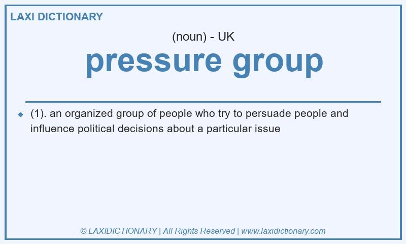 Definition pressure group in British English